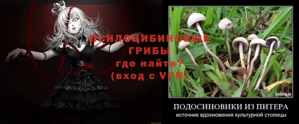 винт Покров