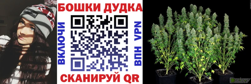 omg как войти  закладка  Геленджик  Каннабис марихуана 